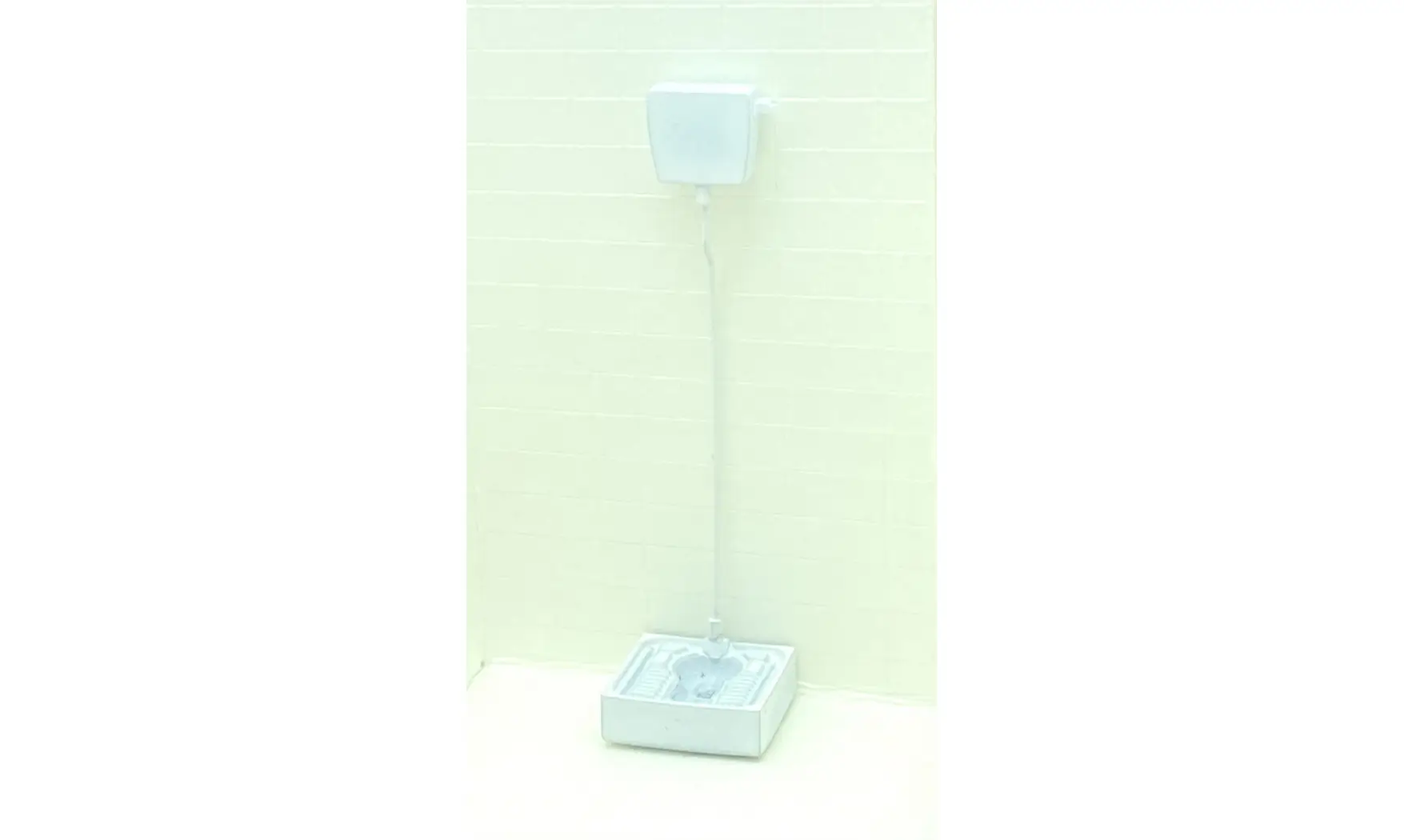 Toilettes à la turque