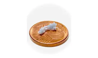 Attelage Scharfenberg N