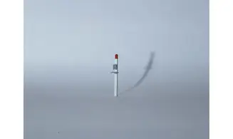 Téléphone d'Alarme HO