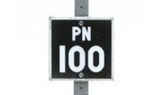 PN 100
